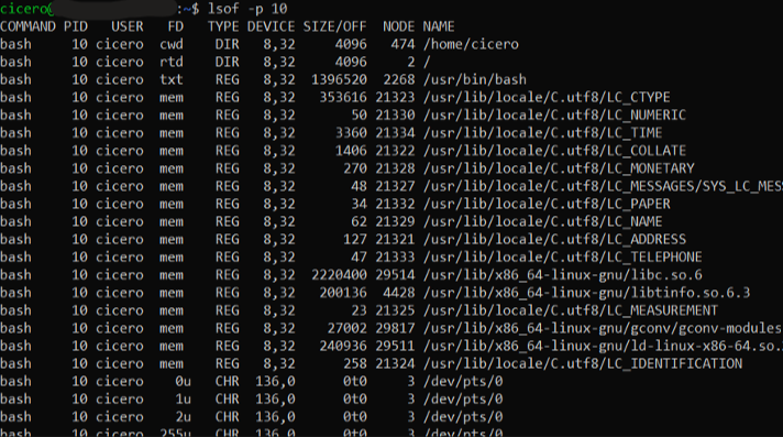 lsof command output